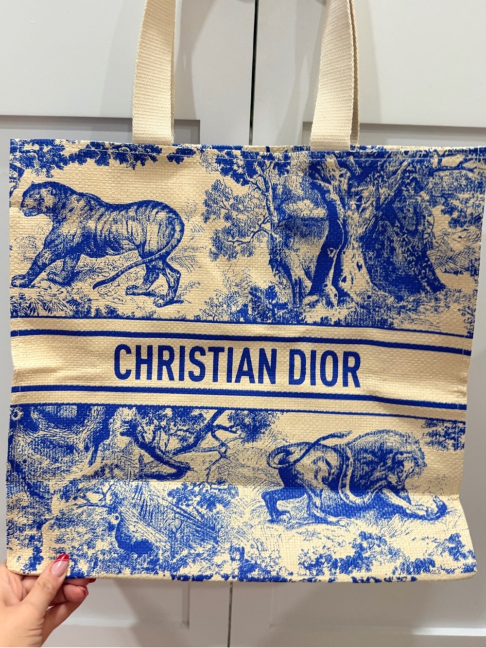CHRISTIAN DIOR Beauty Diorivera  BLUE STRAW TOTE - NIB